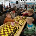hrodna.life Миша Дюрдь победил рак, пошел в школу, научился играть в шахматы