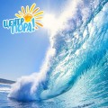 Ребята, сегодня 1 ГОД как мы ВМЕСТЕ!!!