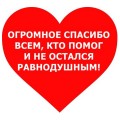 За последние две недели были открыты 3 копилки