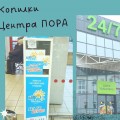 #Копилки_Центра_ПОРА
