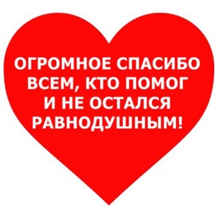 За последние две недели были открыты 3 копилки