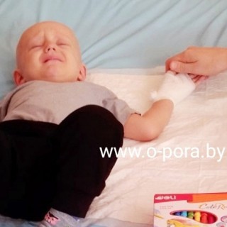 ДЕНЬ СУРКА