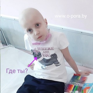 ПРЕДСТАВЬТЕ