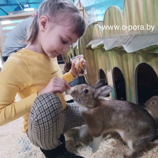 #Дети_бабочки: ПОДДЕРЖИМ СОФЬЮШКУ