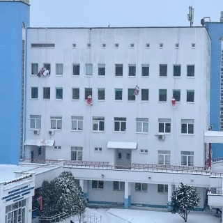 В этот Новый год чудо постучалось не в дверь